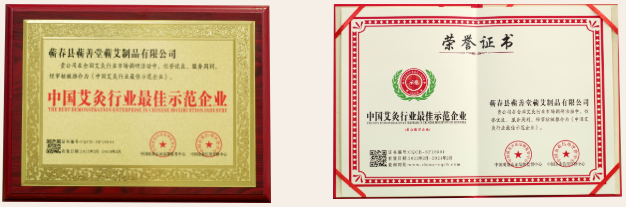 熱烈祝賀蘄善堂被評選為“中國艾灸行業最佳示范企業”“中國馳名品牌”！